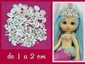 PAKC DE CONCHAS VARIADAS